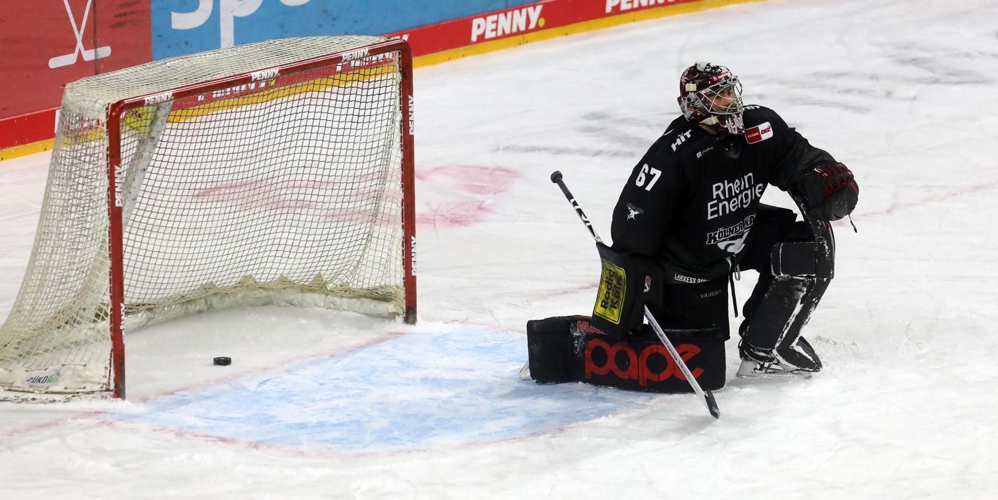 Haie_Wolfsburg_erstes_Tor