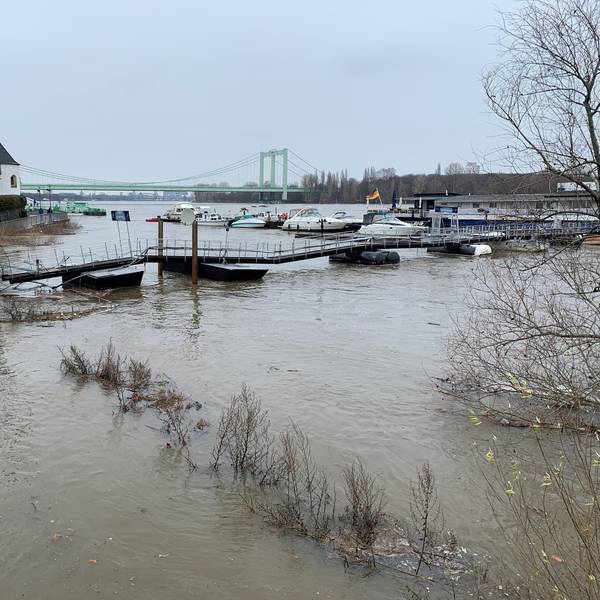 Hochwasser Rodenkirchen 1