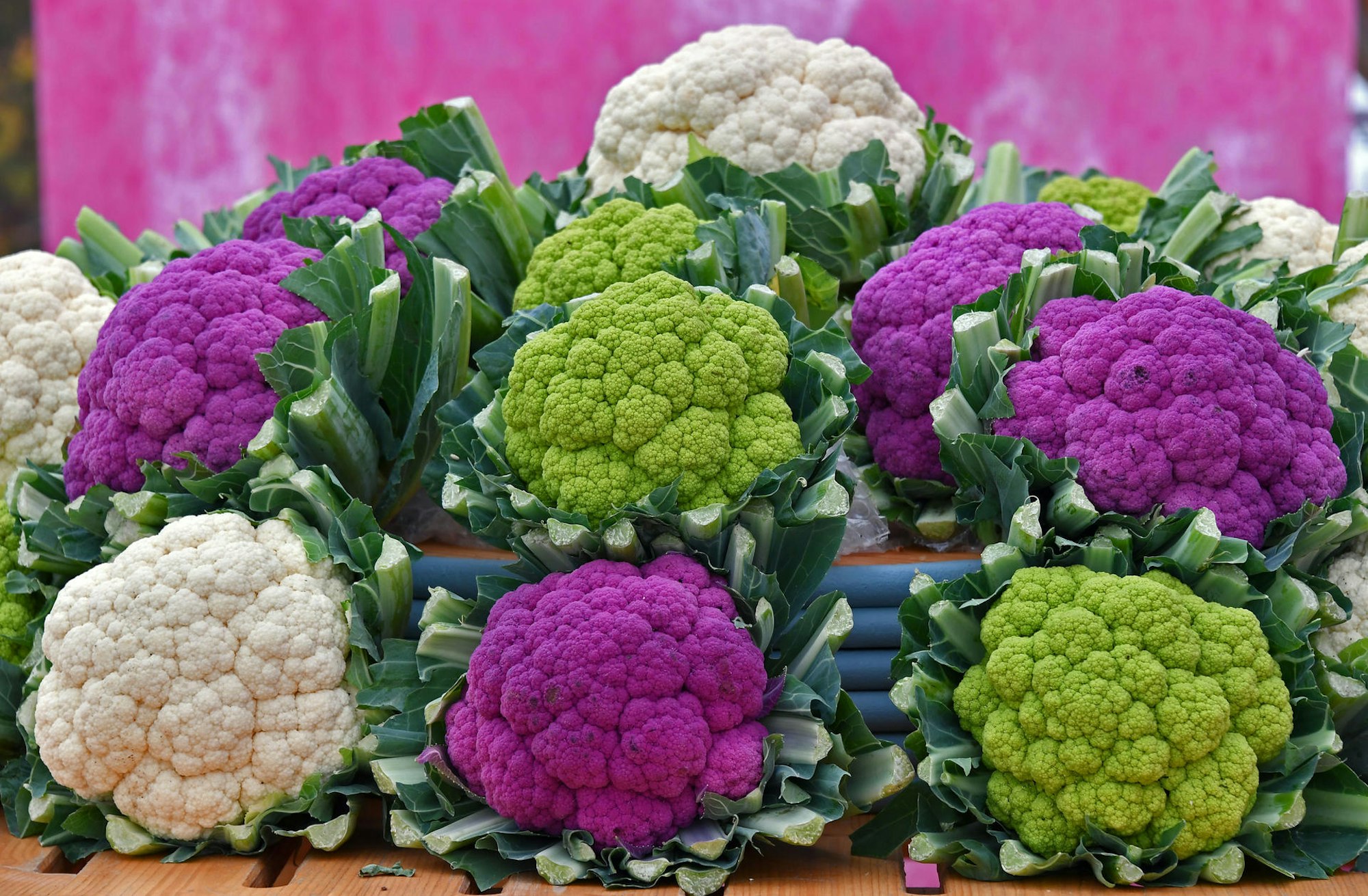 Von_Carpaccio_bis_So_65987165