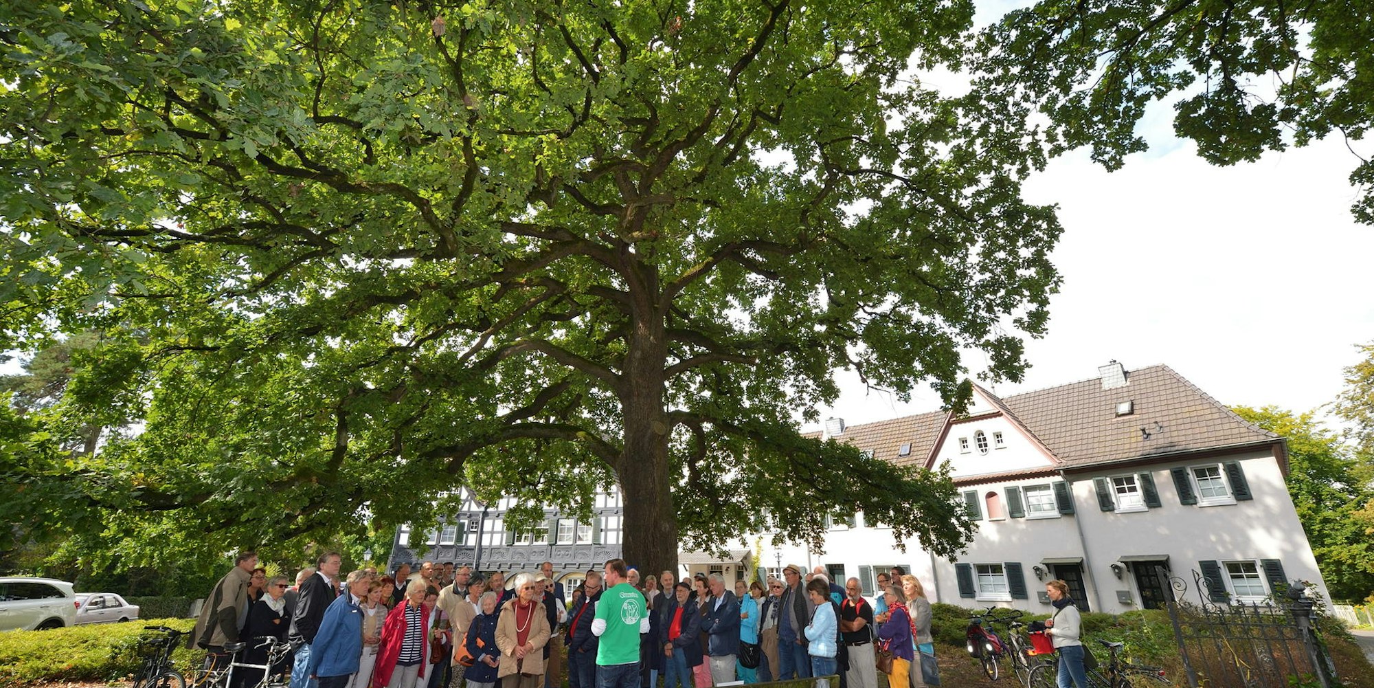 Gronauer_Alte_eiche