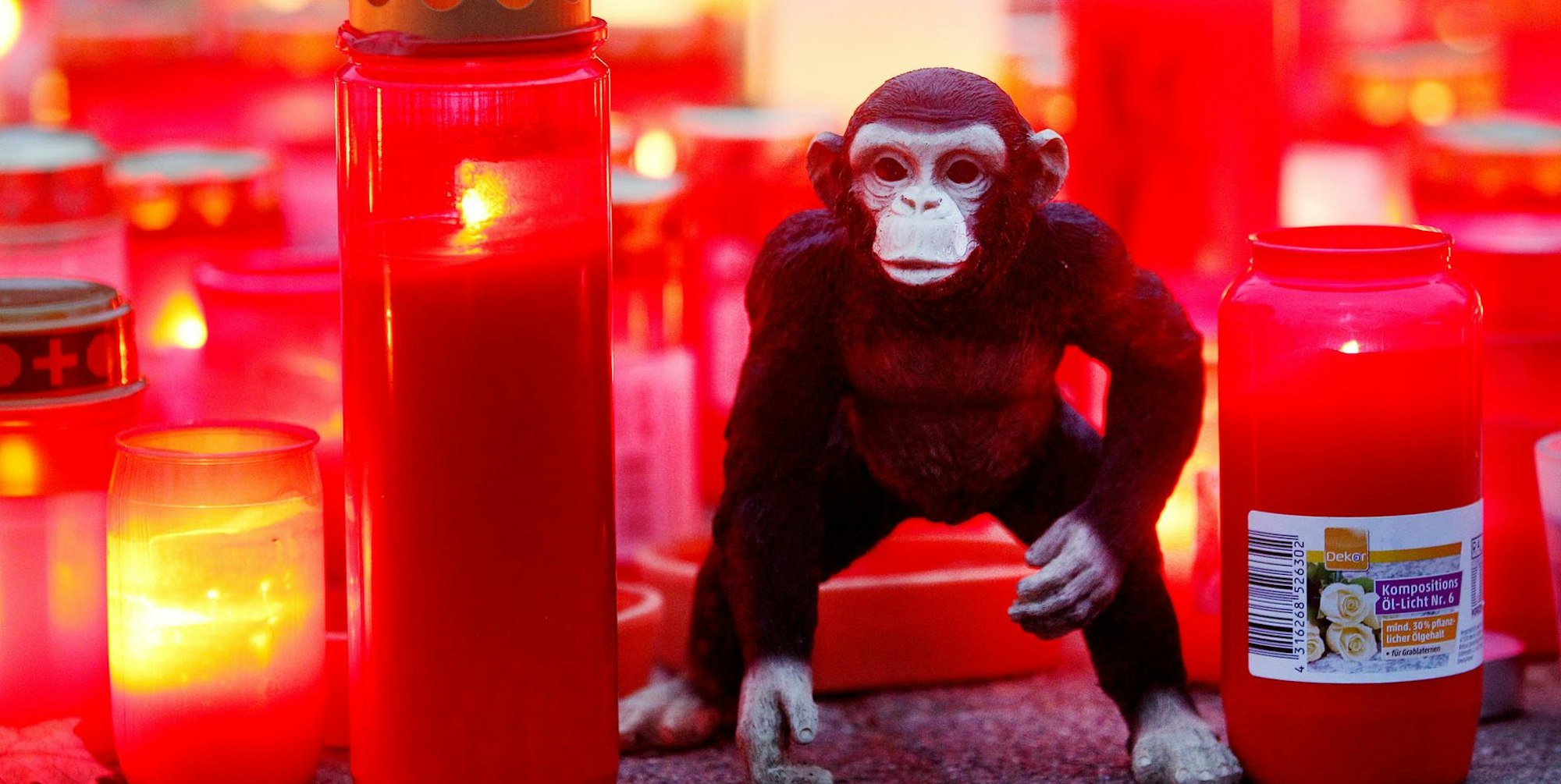 Krefeld DPA Symbol 050120