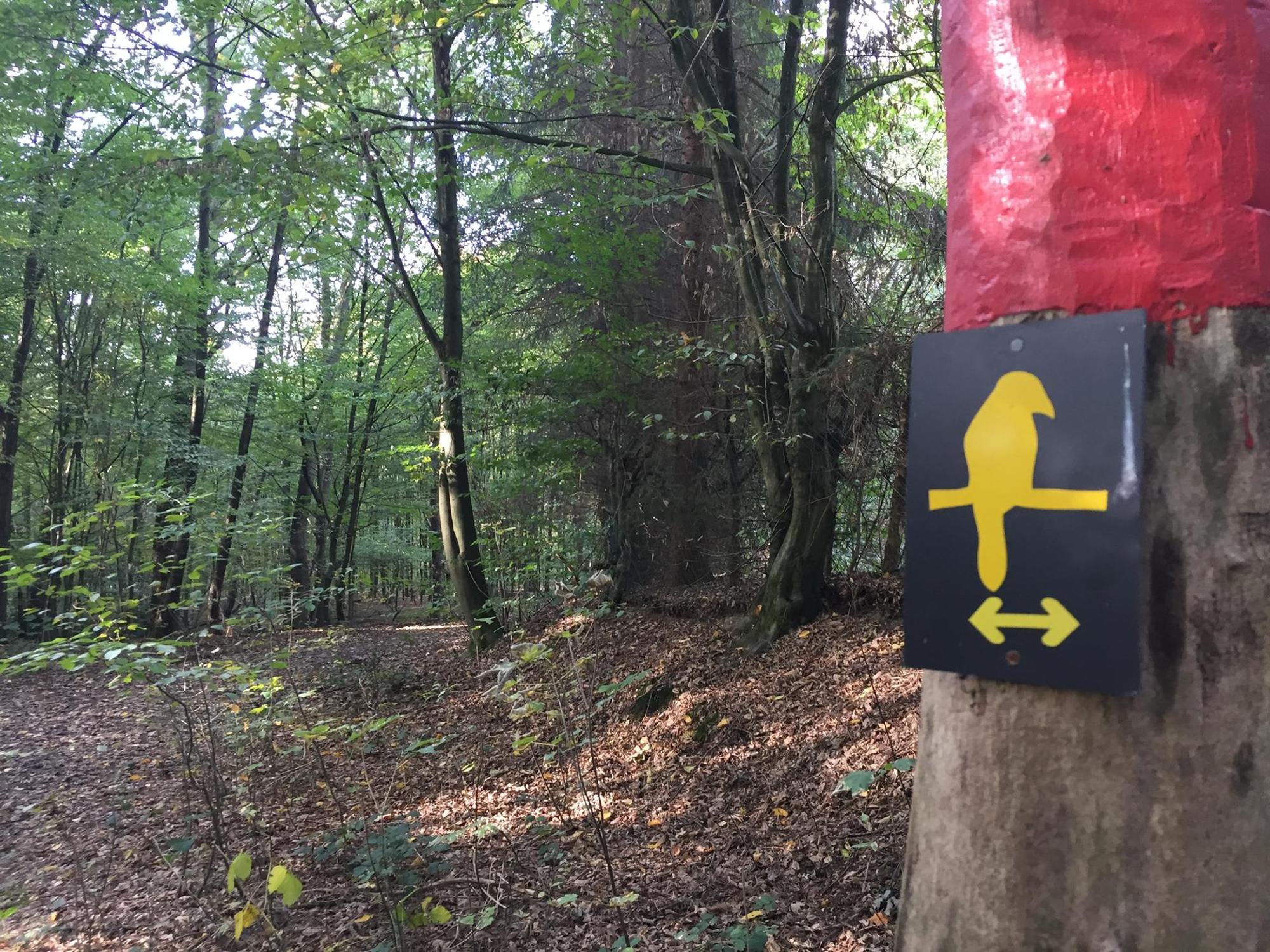 Wahner Heide Reiche 2018-9