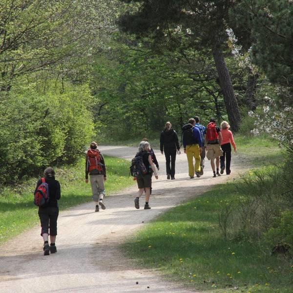 Symbolbild Wandern