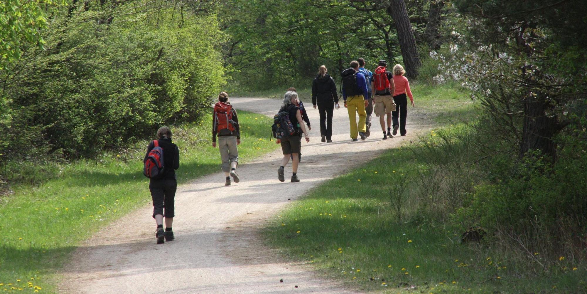 Symbolbild Wandern
