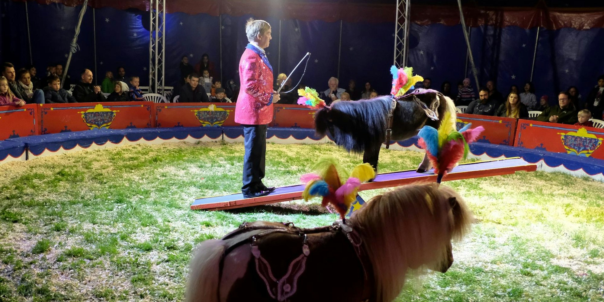 Zirkus Monroe GRÖNERT