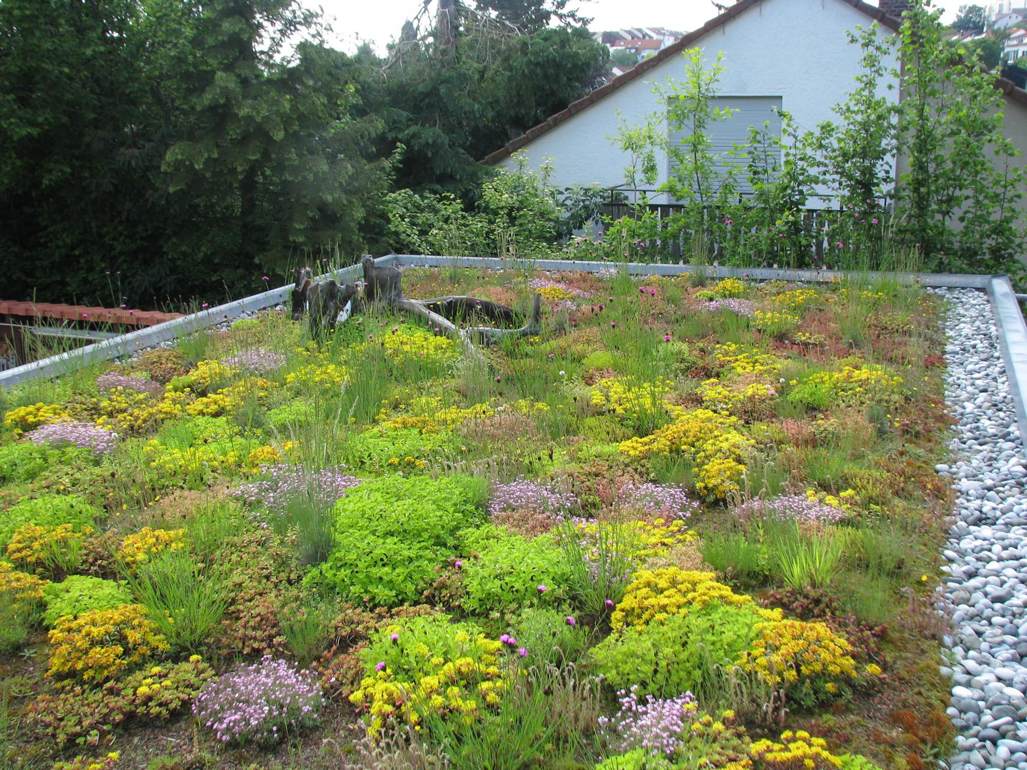 Bild 004