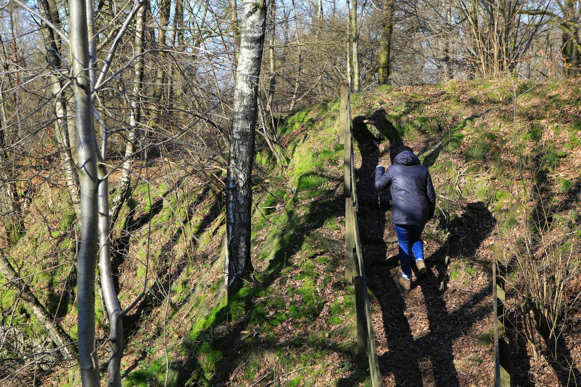 Steinauerpfad_Lindlar