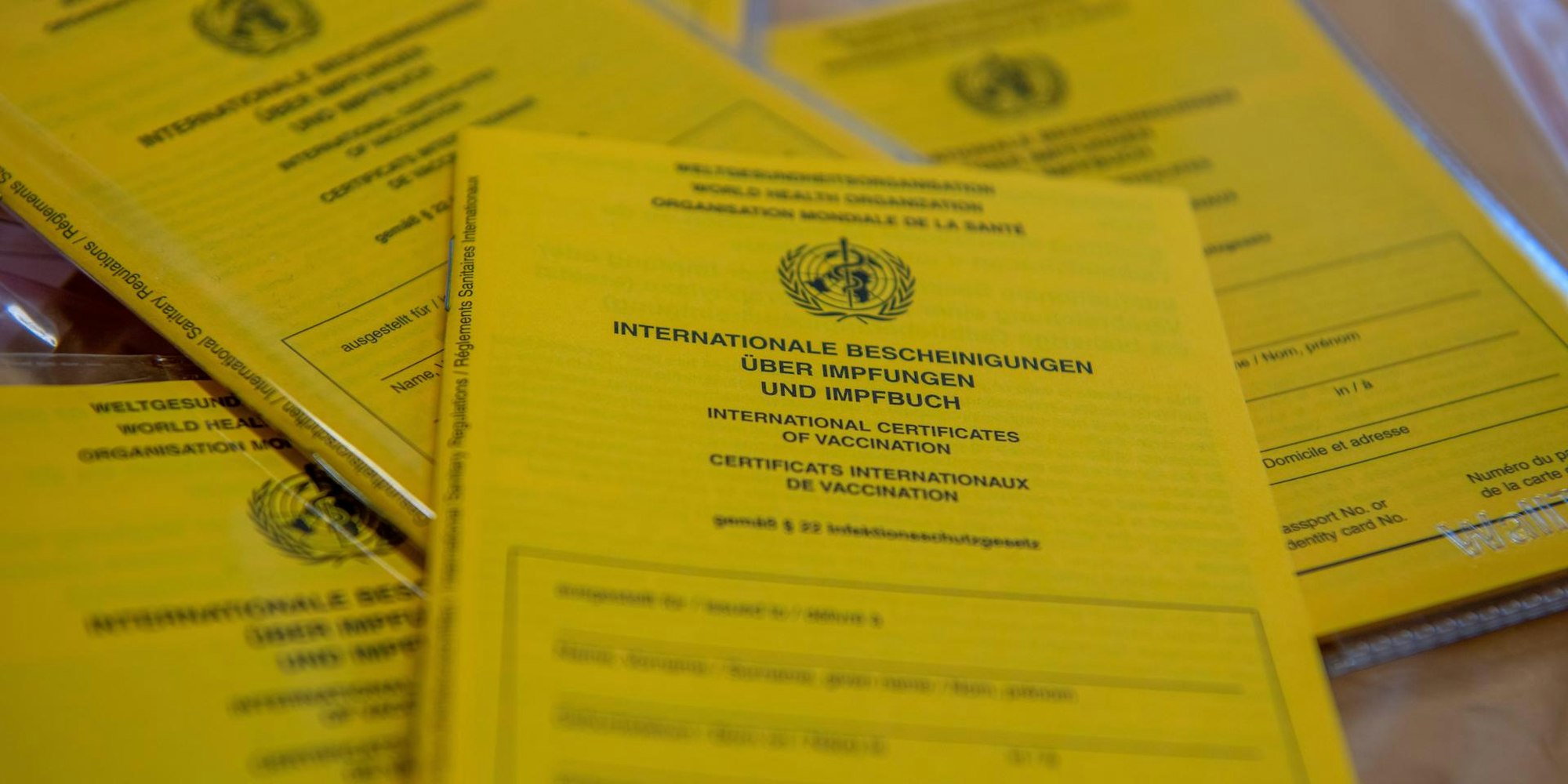 Impfpässe Symbolbild