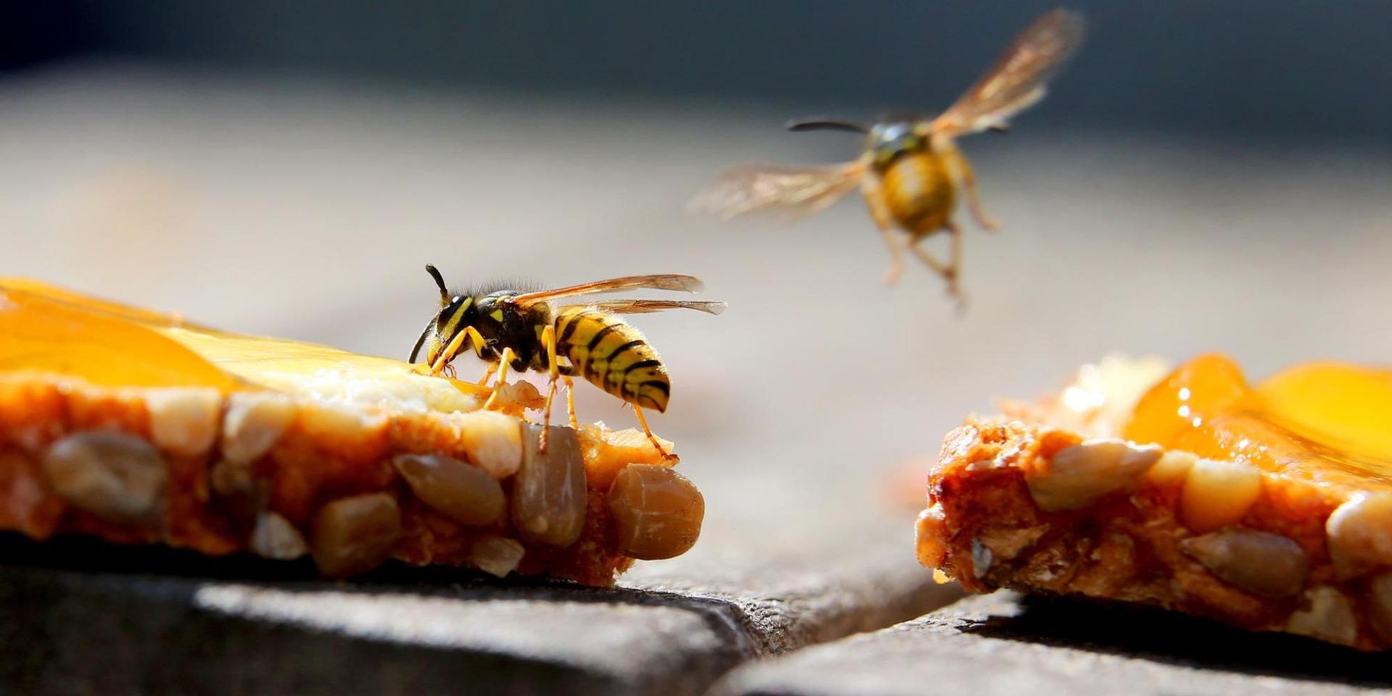 Neuer Inhalt