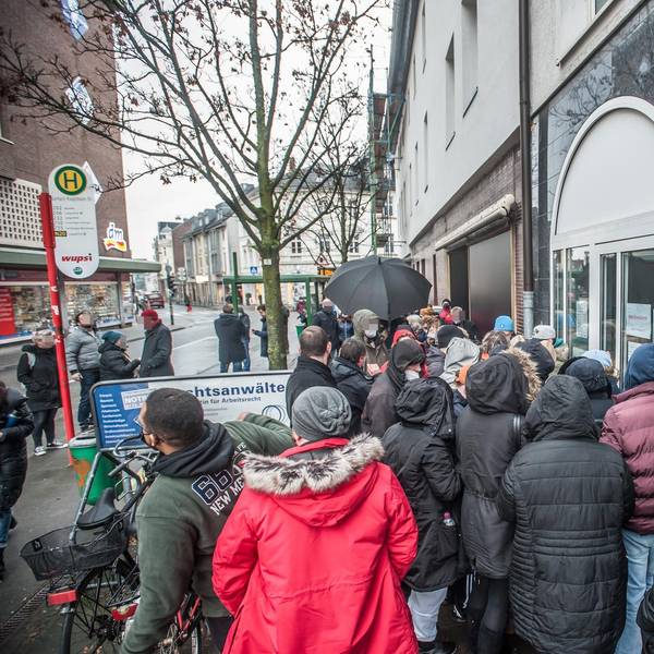 LEV-Wollny-Schlange-gepixelt