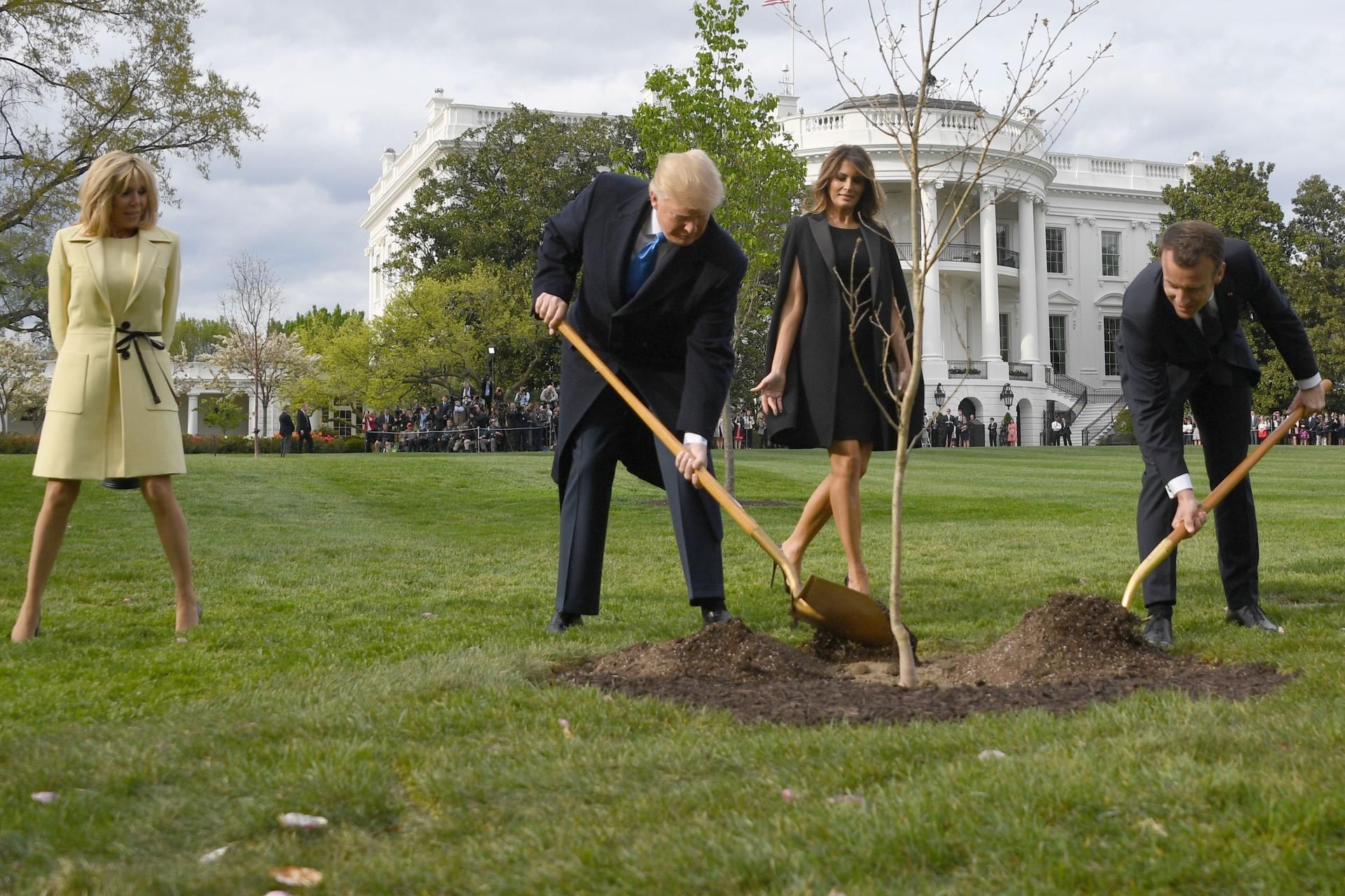 Macron Trump Eiche