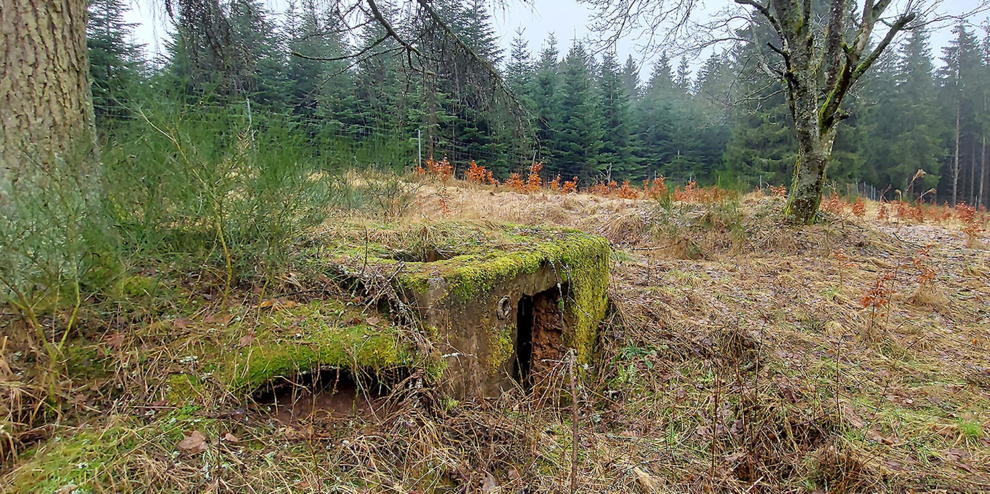 Zwangsarbeiter Dahlem_002