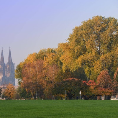 Herbst Dom imago imagebroker