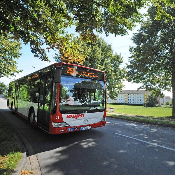 Le-buslinie-253
