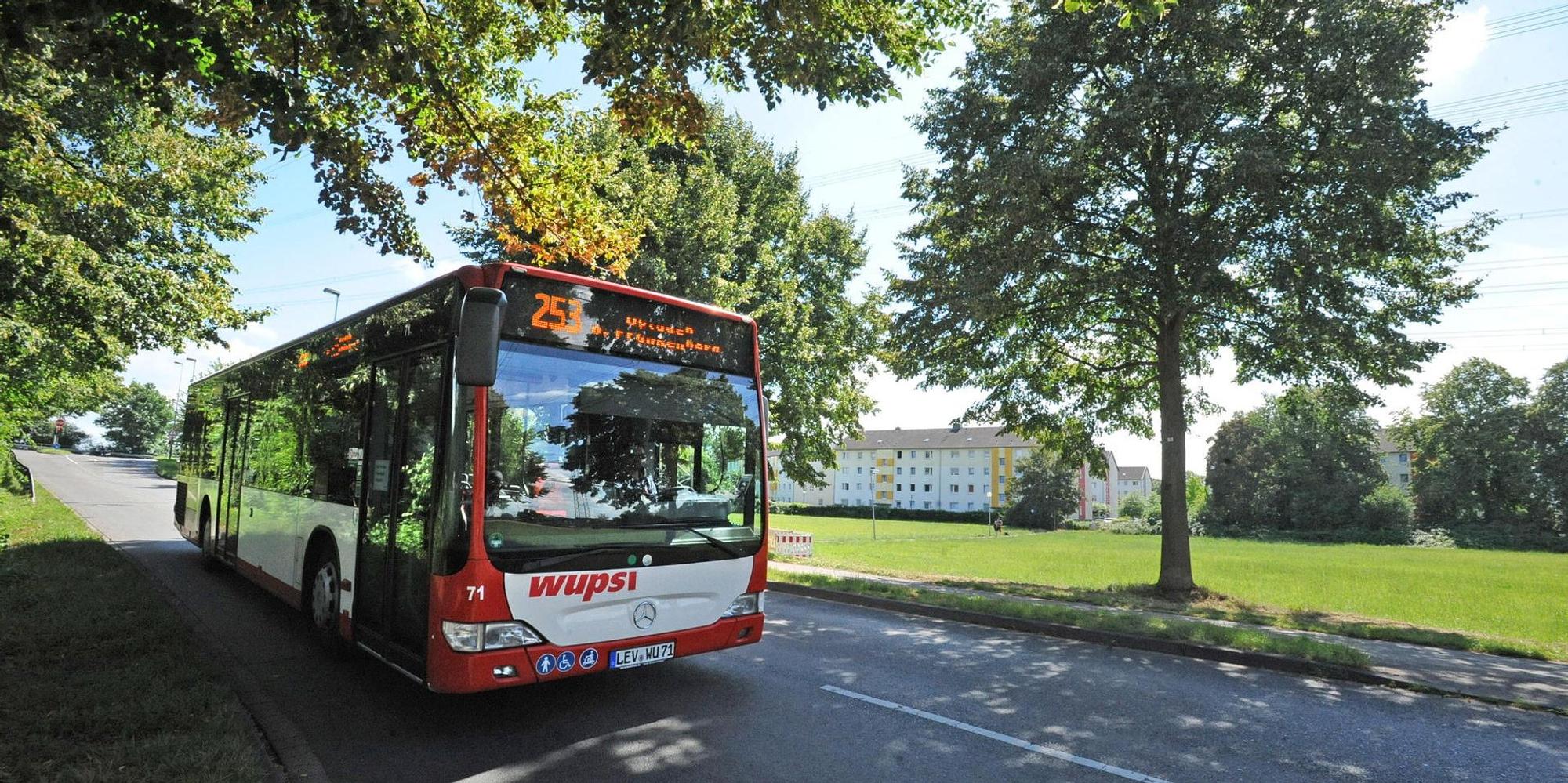 Le-buslinie-253