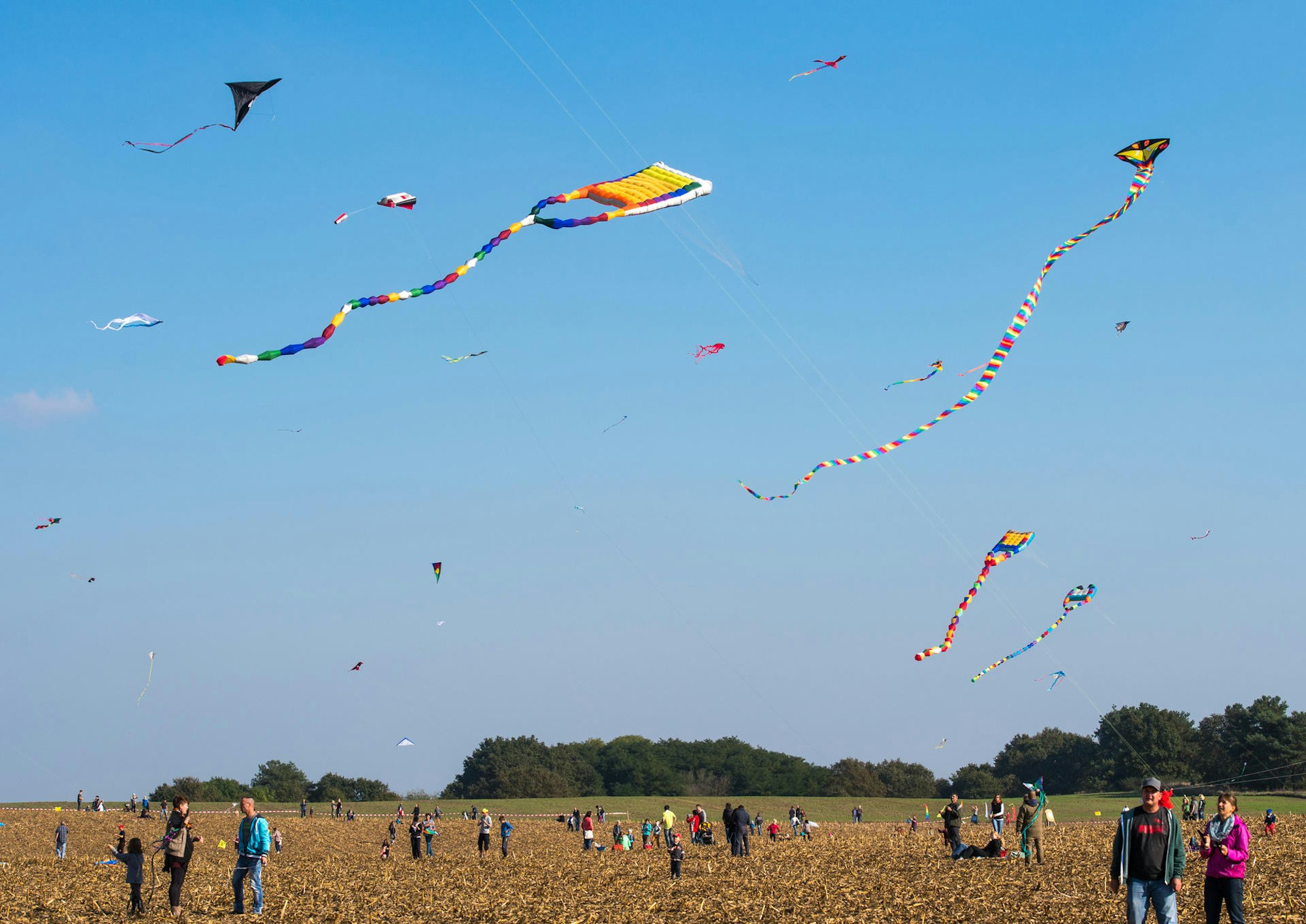 drachen steigen lassen