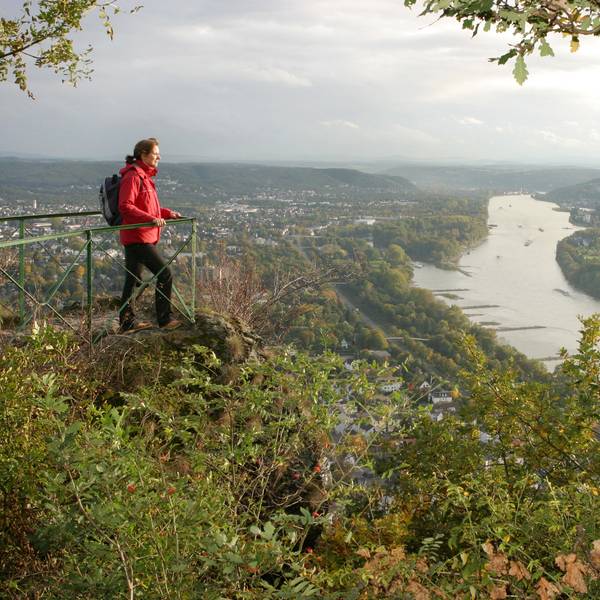 35_Bergischer_Weg_Drachenfels_IMG_1310