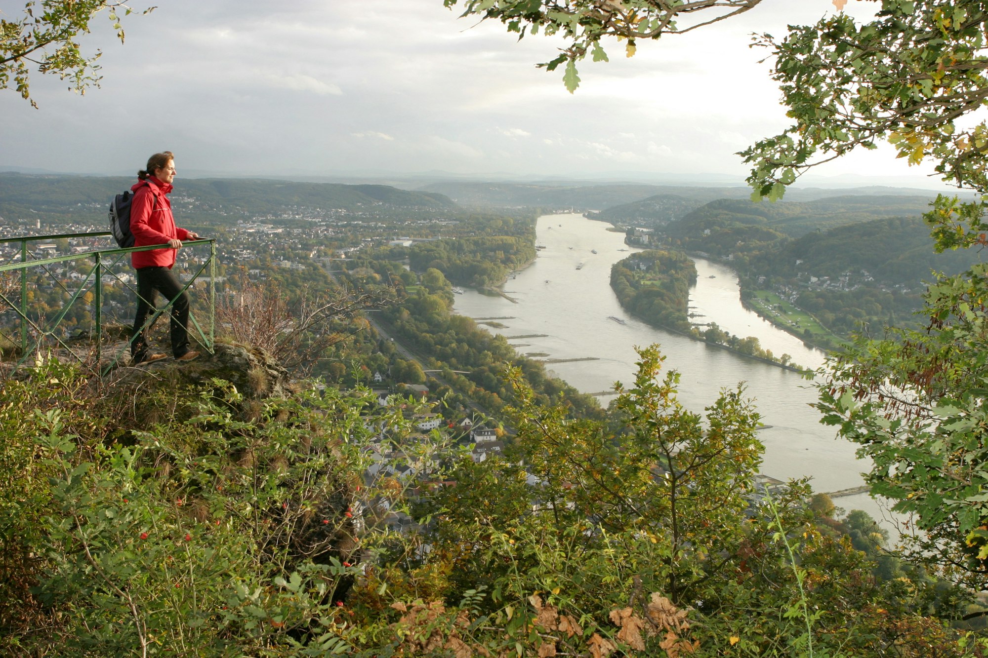 35_Bergischer_Weg_Drachenfels_IMG_1310