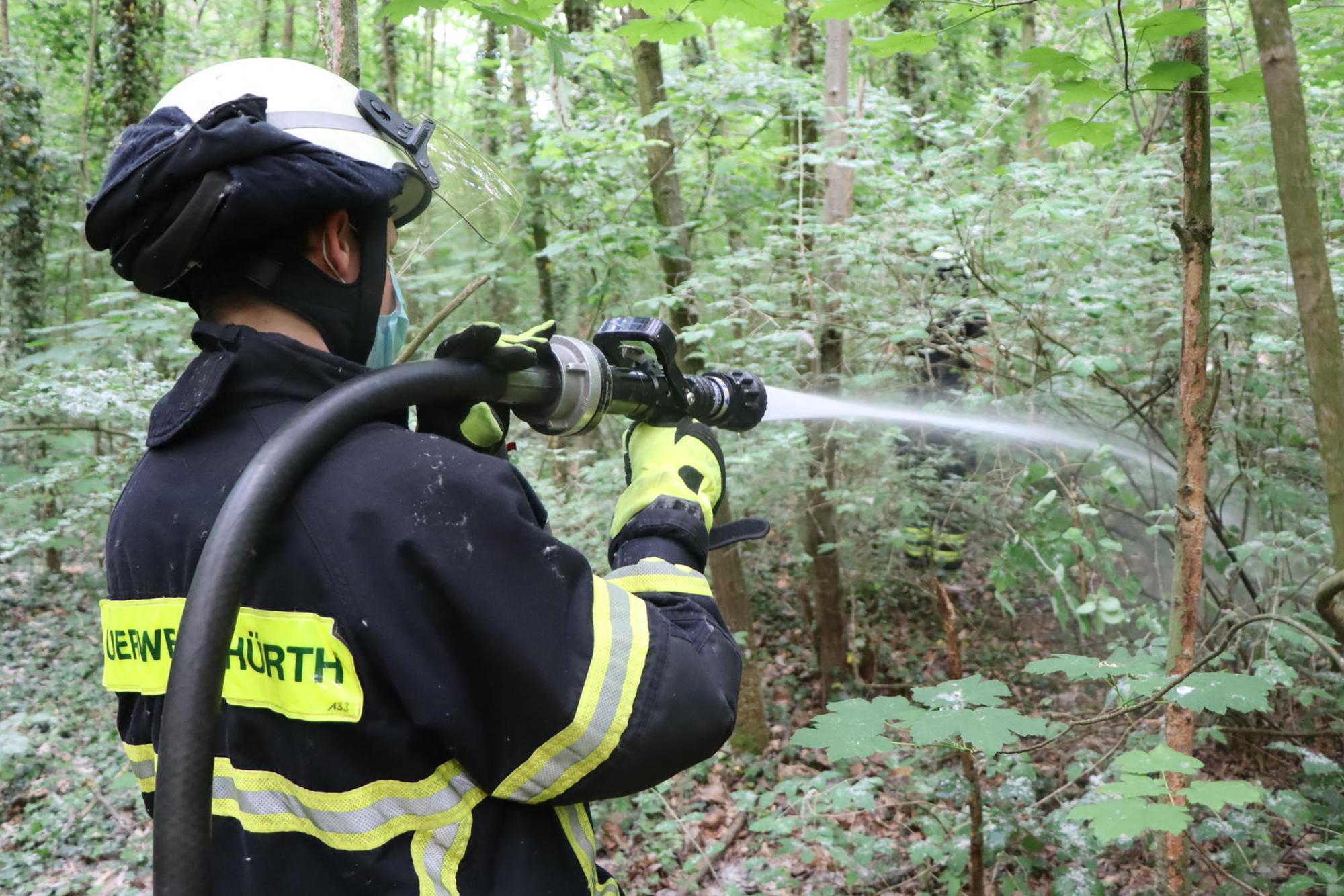 huerth_feuer_wald_mkl_1