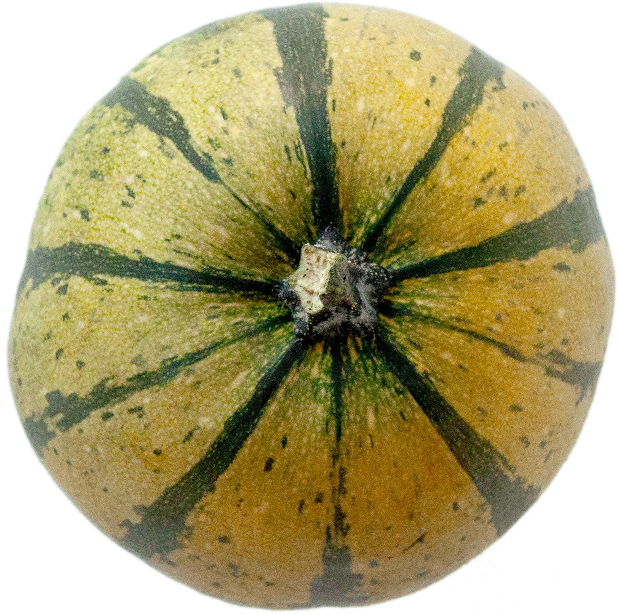 spaghetti-intakt-_DSC7055